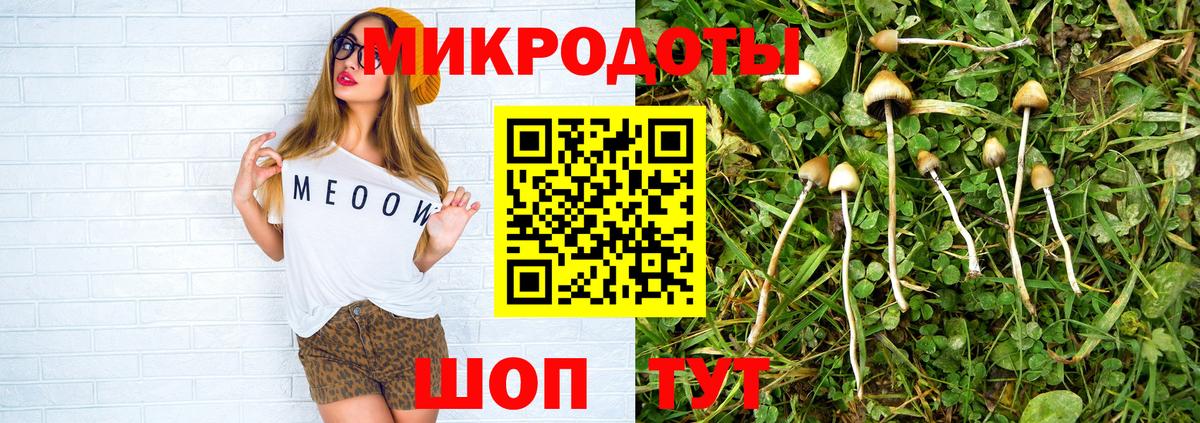 Галлюциногенные грибы MAGIC MUSHROOMS Горно-Алтайск