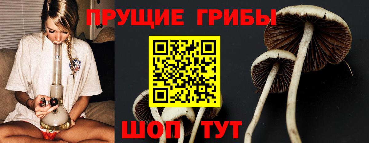 Горно-Алтайск  Галлюциногенные грибы GOLDEN TEACHER  Вход с VPN  Галлюциногенные грибы ЛСД 
